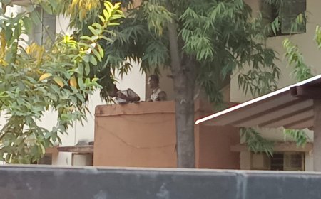 जबलपुर सिविल लाइन थाना अंतर्गत रेलवे की मिलेनियम कॉलोनी में डबल मर्डर