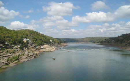 नदियों का संरक्षण और उस पर निर्भर समुदाय के अधिकारों की सुरक्षा मसौदा