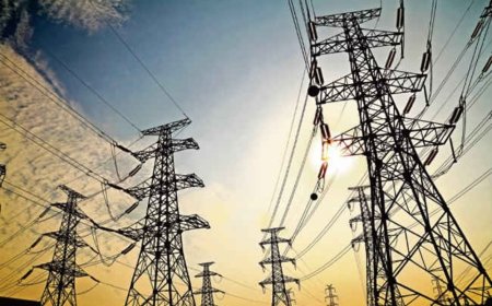 आपत्तियां सुनने के बाद बिजली कंपनी वोटिंग कराएगी