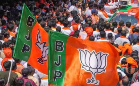 मध्य प्रदेश की ये आधा दर्जन सीटें भाजपा के लिए चुनौती