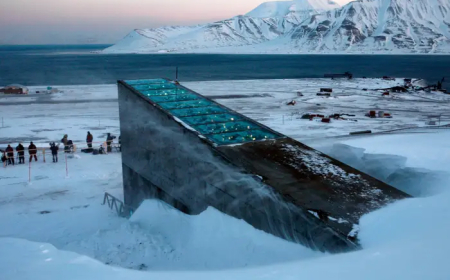 प्राकृतिक आपदाओं के खिलाफ देता है संरक्षण, डूम्सडे वॉल्ट में देश के 9 करोड़ बीच हैं शामिल 