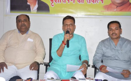 जबलपुर नगर निगम लगाएगा 12 लाख पौधे: महापौर