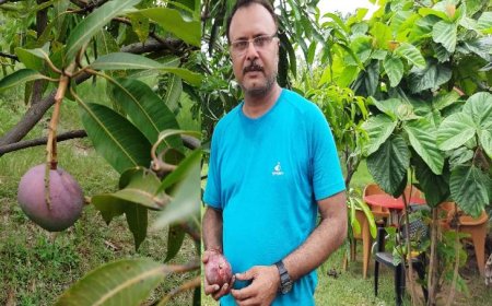 ये आम है बहुत खास: जबलपुर में महाकाल भक्त ने  मंदिर को अर्पित किया दुनिया का सबसे महंगा आम, 2.70 लाख रुपए प्रतिकिलो है कीमत