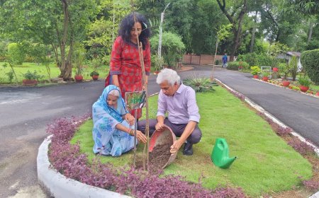 पौधा लगाएं और उसे अपनी मां का नाम दें, जबलपुर कलेक्टर ने अपने बंगले पर पौधारोपण कर गंगा नाम दिया