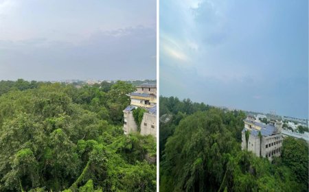 “जबलपुर के फेफड़े को बचाएँ”