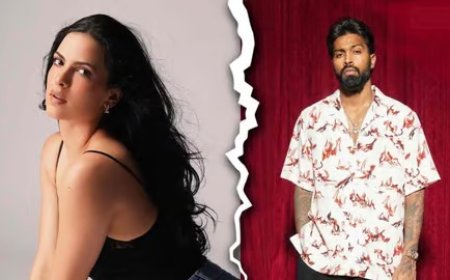 जुटा हुईं हार्दिक और नताशा की राहें, शादी के चार साल बाद दोनों हुए अलग