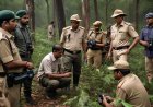 मध्य प्रदेश में बढ़ रहे वन अपराध, पांच साल में 2,27,995 मामले दर्ज