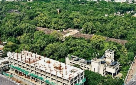 टेलीकॉम फैक्ट्री की हरियाली बचाने हाईकोर्ट से गुहार