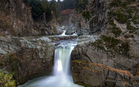 बोलते छायाचित्रों ने मोहा मन