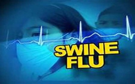 स्वाइन फ्लू: जबलपुर में मरीजों की तादाद 47 पर पहुंची