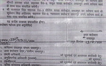 बाबुओं के जलवे में अफसर भी फीके