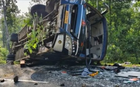 शहडोल जिले में हुआ भीषण सडक हादसा,यात्री बस पलटी,20 से ज्यादा लोग घायल।