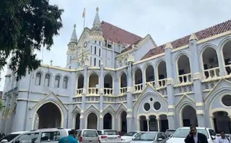 अवैध होर्डिंग्स और यूनिपोल पर स्टेट्स रिपोर्ट तलब, मध्यप्रदेश हाईकोर्ट ने जबलपुर जिला प्रशासन और जबलपुर नगर निगम को जारी किए नोटिस