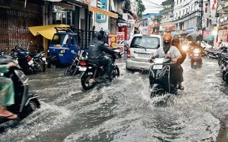 जिले में  तेज बारिश,जलप्लावन से परेशान लोग,निचले क्षेत्रों में भरा पानी