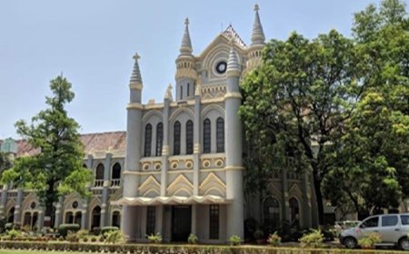 जंगल की जमीन में कटाई नहीं हो रही, हाईकोर्ट में सरकार ने पेश किया जवाब