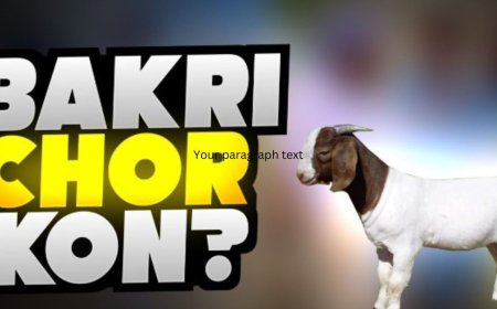 बकरी चोरों ने की बुजुर्ग की हत्या,28 बकरी लूट कर फरार