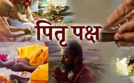 पितृ पक्ष में घर के द्वार पर आए जानवरों का न करें अपमान 