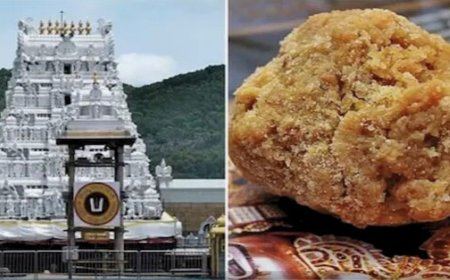 बालाजी मंदिर के प्रसाद में जानवरों की चर्बी से बने घी का उपयोग