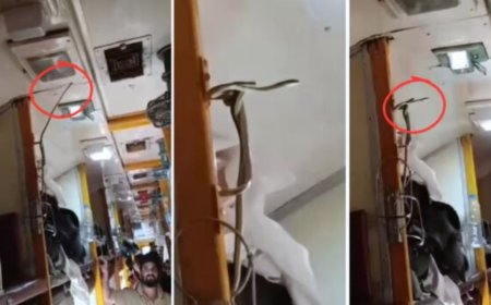 गरीबरथ एक्सप्रेस में 5 फीट लंबा सांप, मचा हड़कंप
