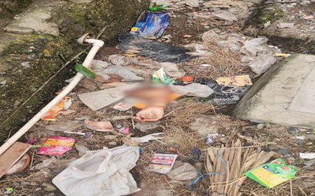 गाजीनगर में कटा हाथ मिलने से मची सनसनी