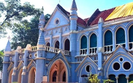 MP News :डेंगू पर हाईकोर्ट सख्त,प्रदेश सरकार से मांगा जबाव