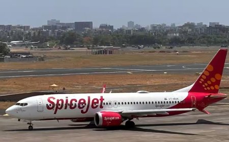 स्पाइस जेट ने दिल्ली-मुंबई उड़ानें बंदकर हाईकोर्ट आदेश की अनदेखी की 