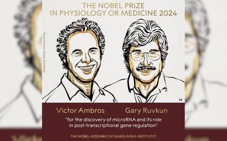 नोबेल पुरस्कारों का ऐलान आज से