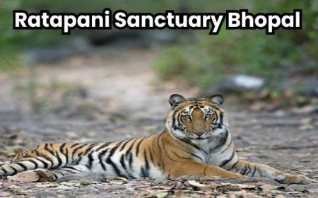 बाघों के बहाने वीरान होते गांव .. राजकुमार सिन्हा