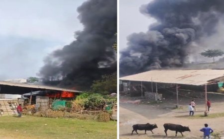 कछपुरा के बीएल मैरिज गार्डन में लगी भीषण आग, 3 किमी दूर से दिखता रहा काला धुआं