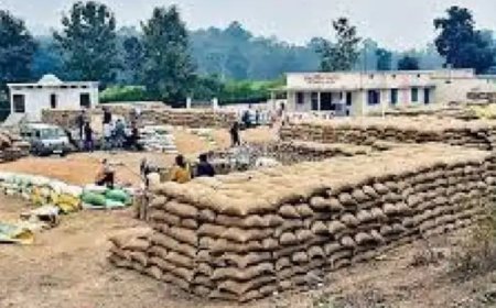 मध्य प्रदेश में अब नान करेगा धान-गेंहू की खरीदी
