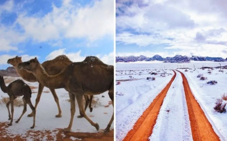सऊदी अरब में बर्फबारी: मौसम ने बदला रंग, लोग रह गए दंग
