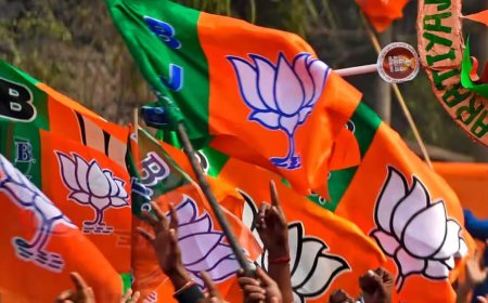 भाजपा संगठन चुनाव की डेड लाइन तय, 15 दिसंबर तक घोषित होंगे 1078 मण्डलों के अध्यक्ष