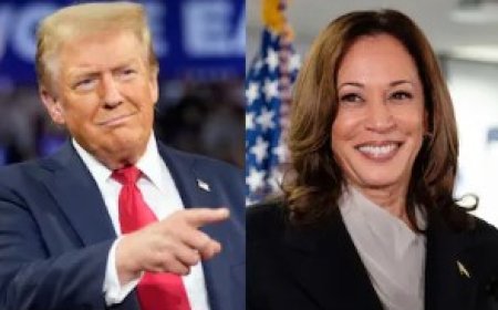 US Election Result 2024: बहुमत की ओर बढ़ रहे डोनाल्ड ट्रंप 