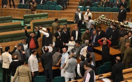 J&K विधानसभा में आर्टिकल 370 पर हाथापाई