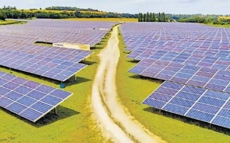 MP News :प्रदेश का पहला सोलर स्टोरेज पावर प्लांट बनेगा मुरैना में