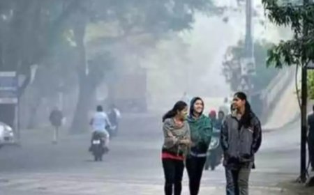 MP Weather : गुलाबी ठंड ने दी दस्तक,15 नवंबर के बाद पड़ेगी कड़ाके की ठंड