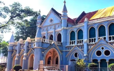 नर्सिंग काउंसिल रजिस्ट्रार के आरोपों की जांच कर करो कार्रवाई: हाईकोर्ट