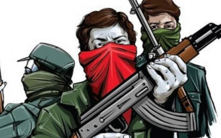 सीधी-सिंगरौली के माड़ा जंगल में बढ़ी नक्सली मूवमेंट, केंद्र और राज्य सरकार की खुफिया एजेंसियां सक्रिय