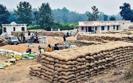 Jabalpur News :धान खरीदी की तैयारियां पूर्ण,दो दिसंबर से होगी शुरुआत 