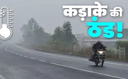 उत्तर की ठंडी हवाओं से ठिठुरा एमपी,शीतलहर की संभावना