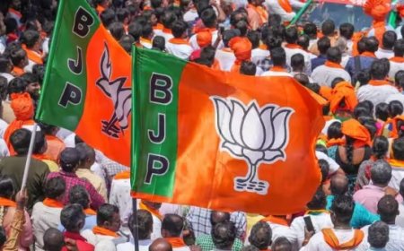 महाराष्ट्र में जिन सीटों पर ज्यादा मुस्लिम, वहां कैसे बीजेपी ने मारी बाजी