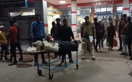 Jabalpur News : दयोदय गौशाला में मंदिर निर्माण के दौरान बड़ा हादसा,चार मजदूर घायल 