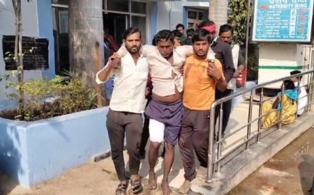 Jabalpur News : पाटन में भालू के हमले में दो घायल 