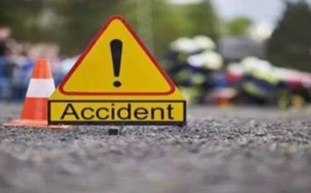 वाहन को बचाने के चक्कर में पलटी यात्री बस, 30 घायल