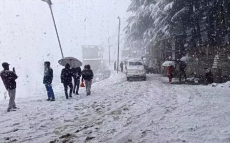 मसूरी, नैनीताल जैसे हिल स्टेशनों पर हो रही बर्फवारी को देखने सैलानियों की बढ़ी भीड़