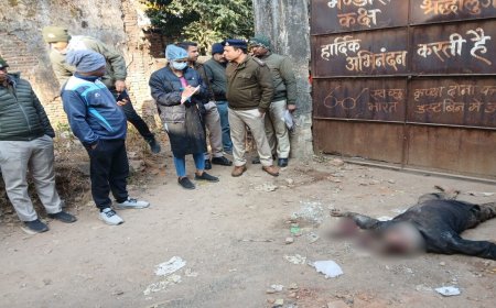 जबलपुर में अधेड़ की पत्थर पटक कर हत्या