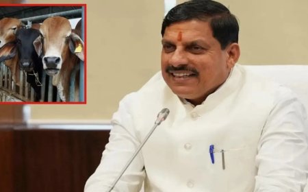 18 दिसंबर को होगा हाईटेक गौशाला का भूमिपूजन