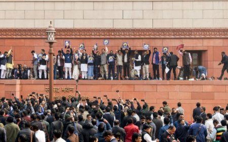 संसद में हंगामा, सांसदों के बीच धक्कामुक्की