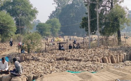 खुले में पड़ी है धान और बारिश का है अनुमान