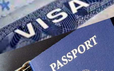 Higher Education Visa Policy: विदेशी स्टूडेंट्स के लिए भारत में दो नई वीजा कैटेगरी